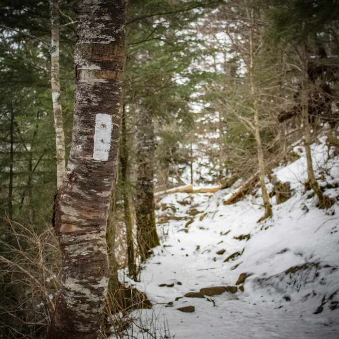 Near The Jump Off via The Appalachian Trail Near The Jump Off via The Appalachian Trail