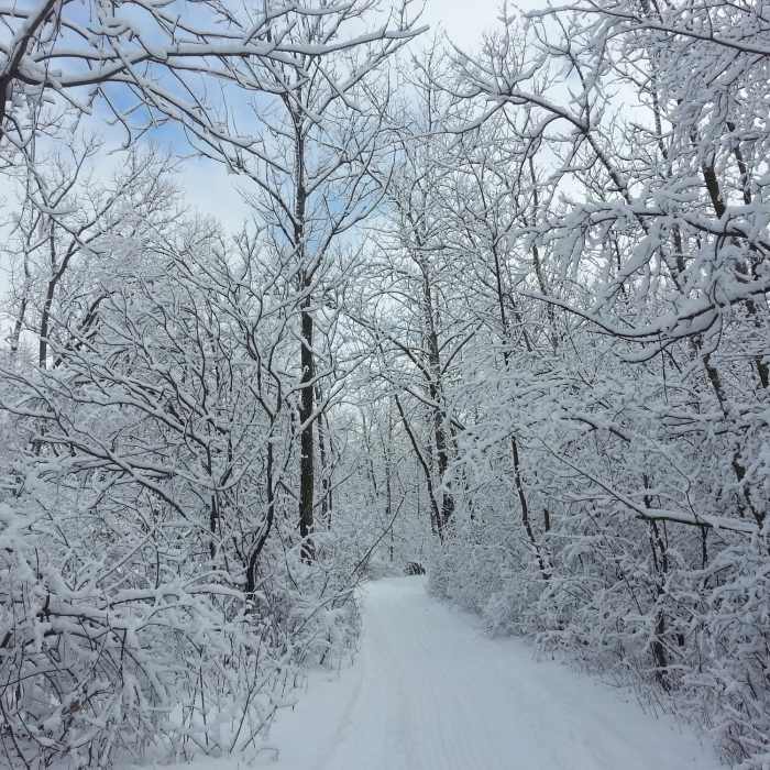Hollows Conservation Area in the winter - Photo courtesy of McHenry County Conservation District Near Hollows Conservation Area
