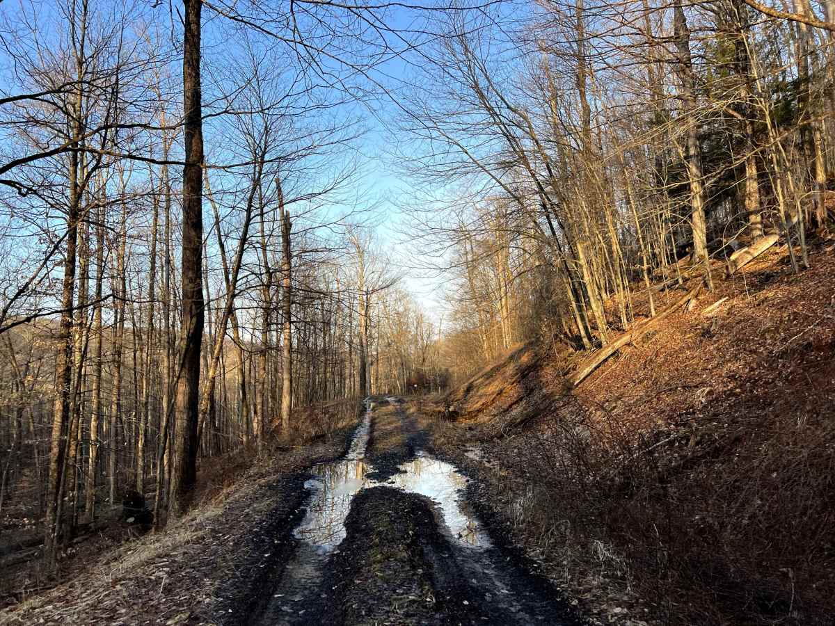 Meade Run Trail - FS 457A photo 6