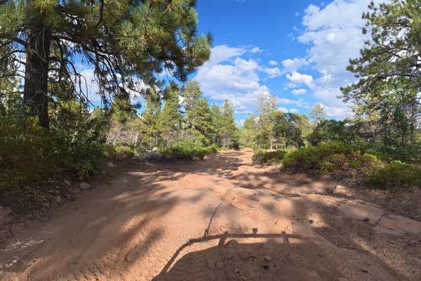 Big Creek Trail