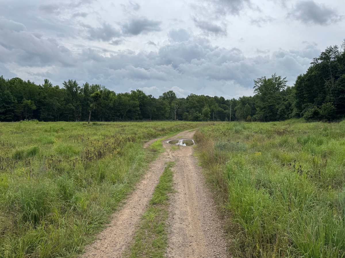 County Road 88 photo 4