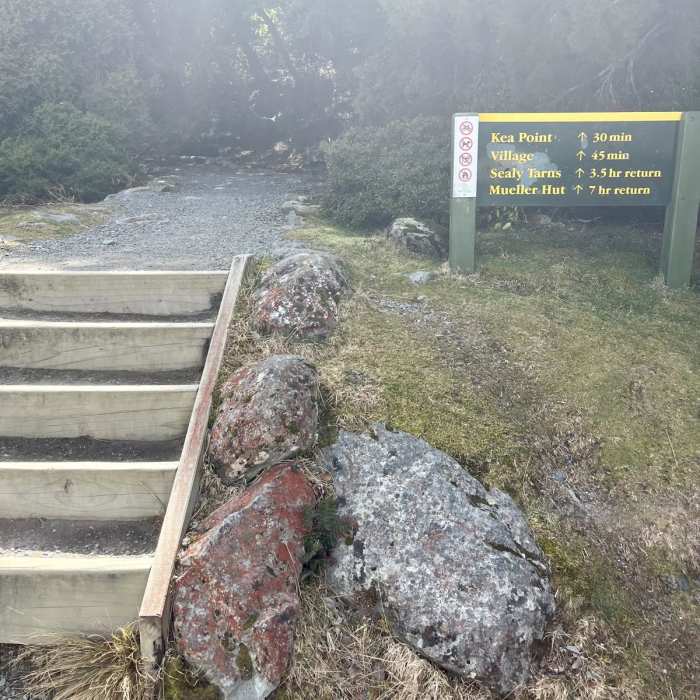 Near Kea Point Track Near Kea Point Track