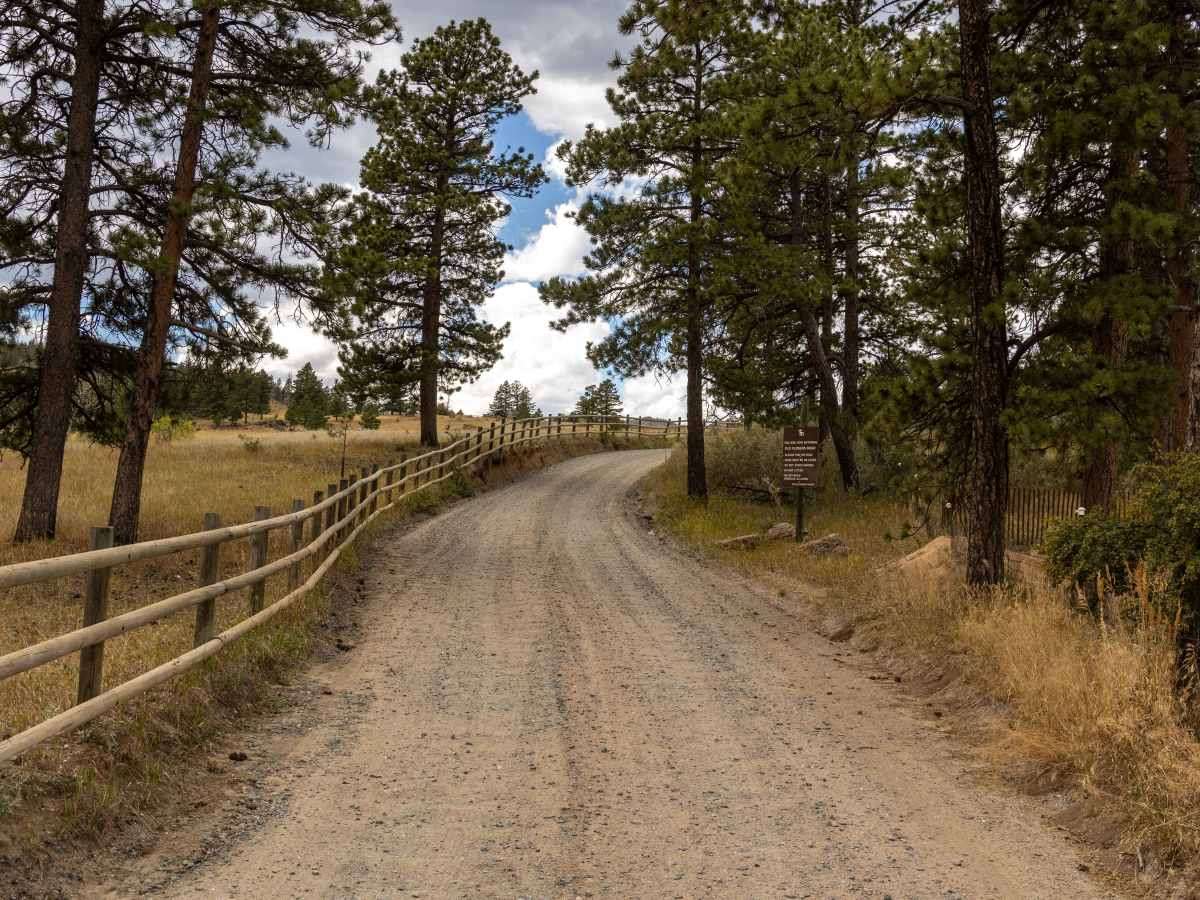 Old Flowers Road trail photo