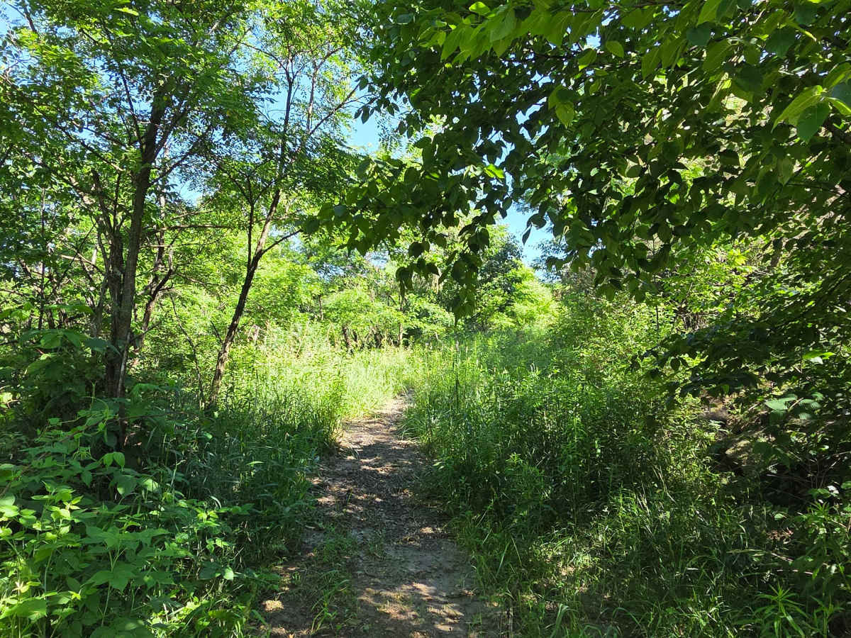 Single Track S photo 5
