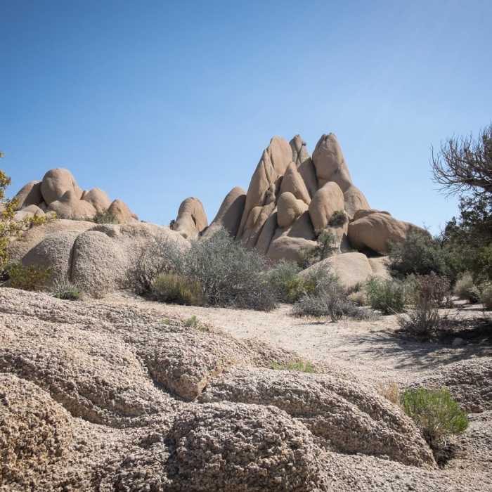 Near Skull Rock Nature Trail