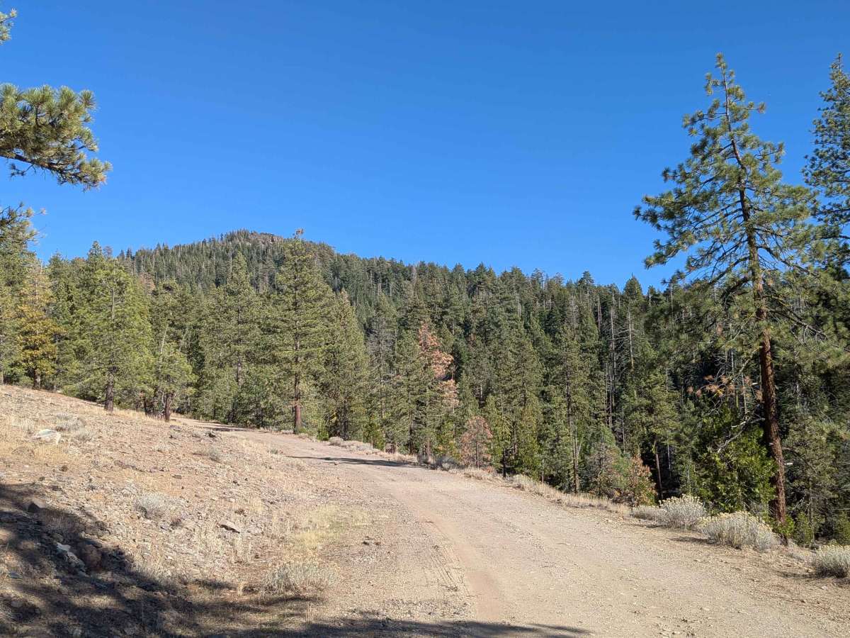 Mill Creek Road - FS5N21 photo 5