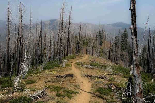 Corral Creek Trail 1340.1