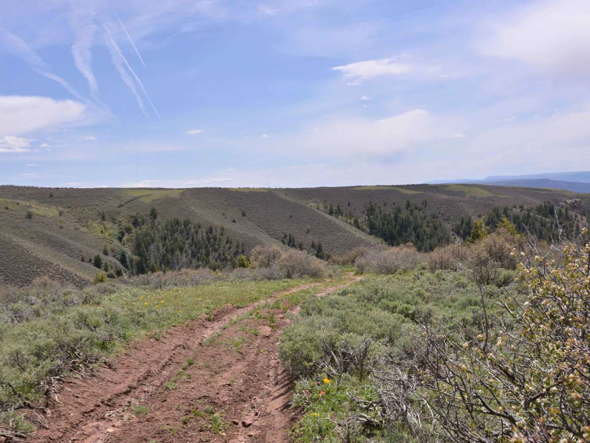 Buckboard Ridge - FS 10051 photo 6
