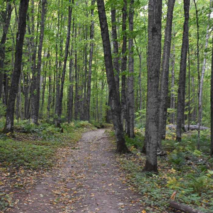 Near Great Conglomerate Falls