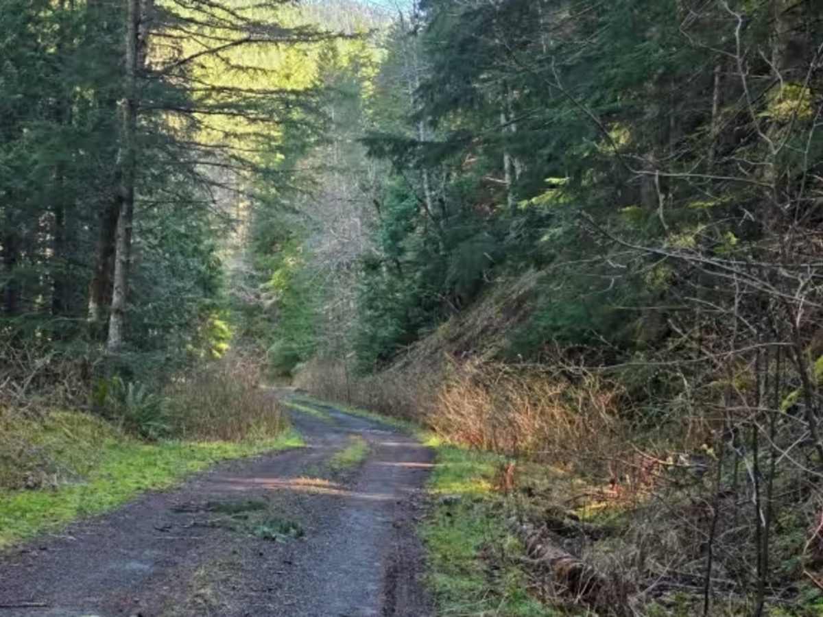 FS 2630 trail photo