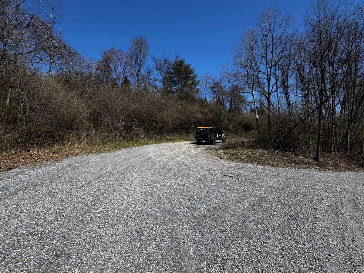 Logway Run Trail trail photo