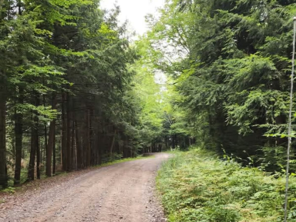 Britton Road photo 5