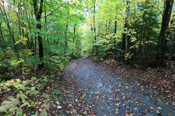 Lowell MTN / Baily-Hazen Military Road