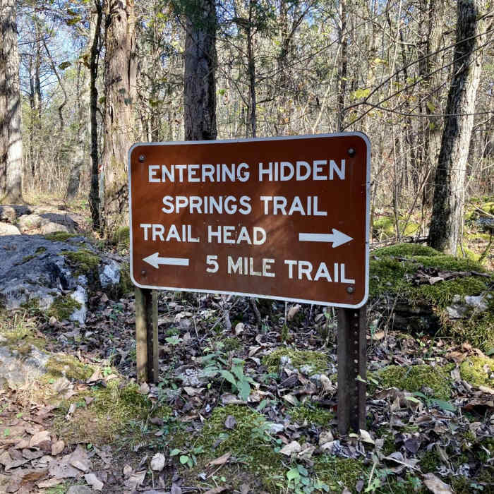 Near Hidden Springs Trail