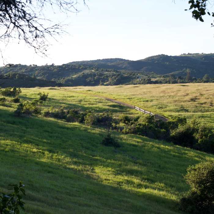 Near Edgewood Nature Preserve Loop