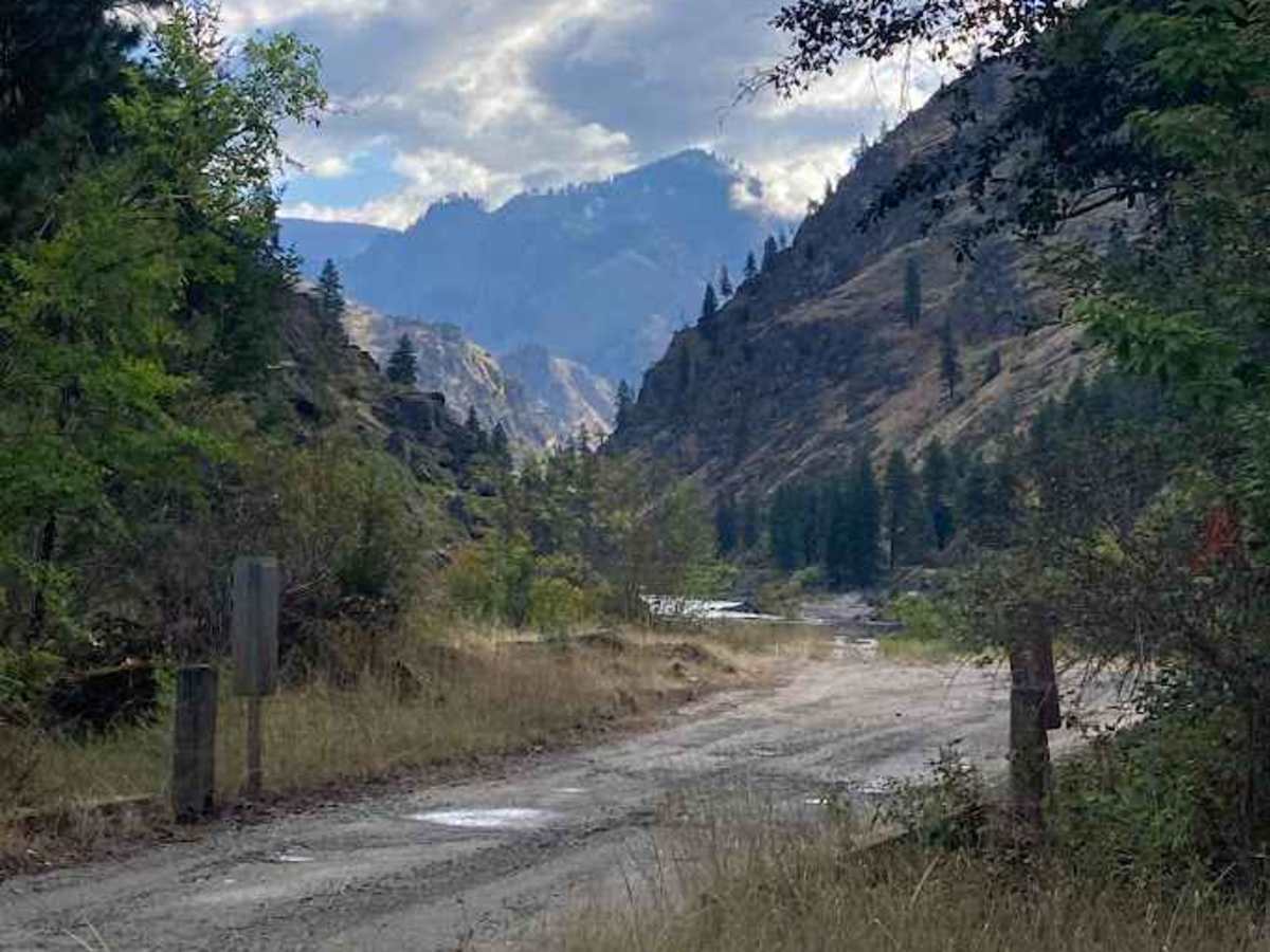 Wind River- NF 1614 photo 4