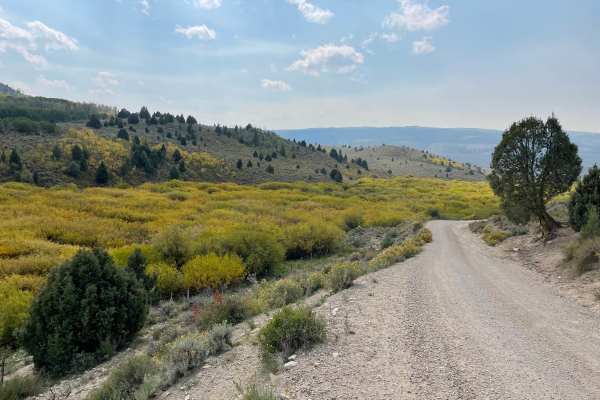 Timber Canyon Trail
