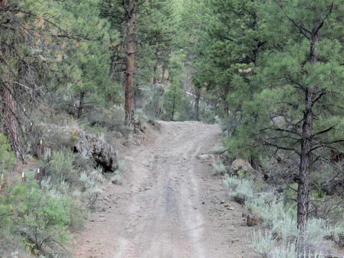 Burnt Basin photo 2