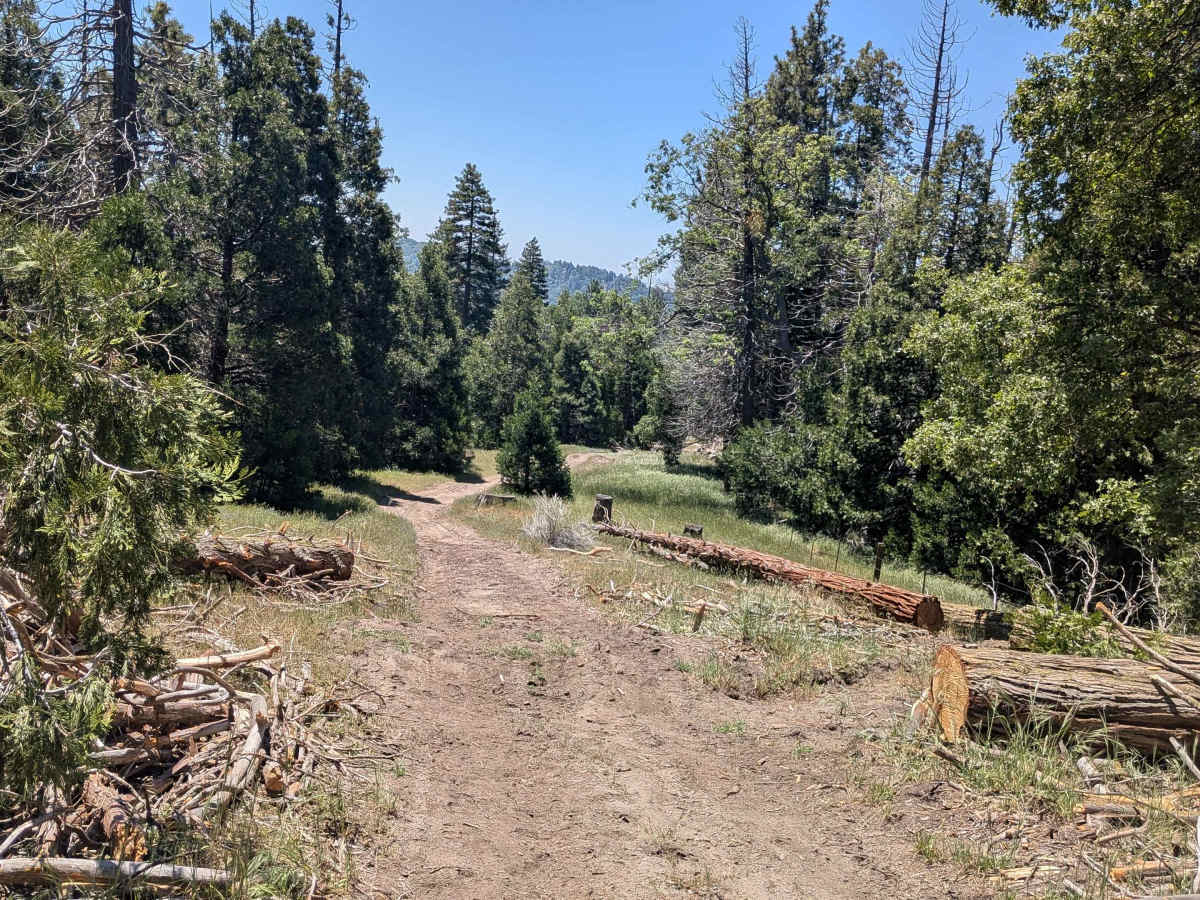 Davis Loop - FS 26S13/26S30 photo 3