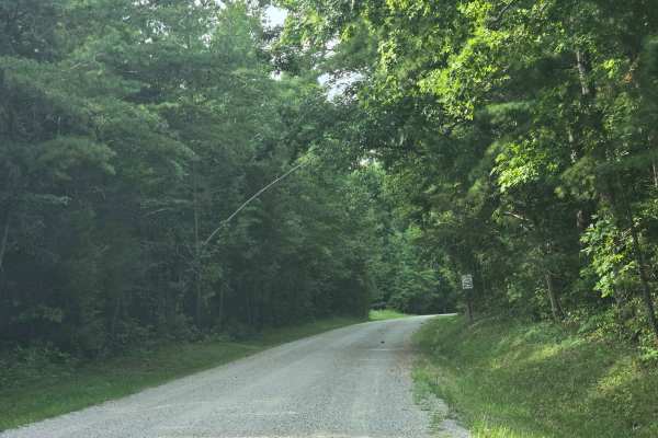 Bandy Creek Road