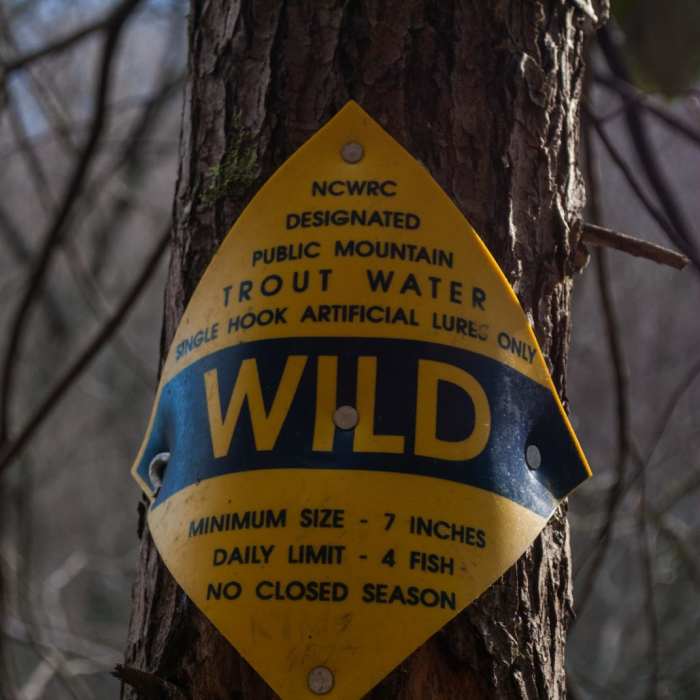 Near Catawba Falls Near Catawba Falls