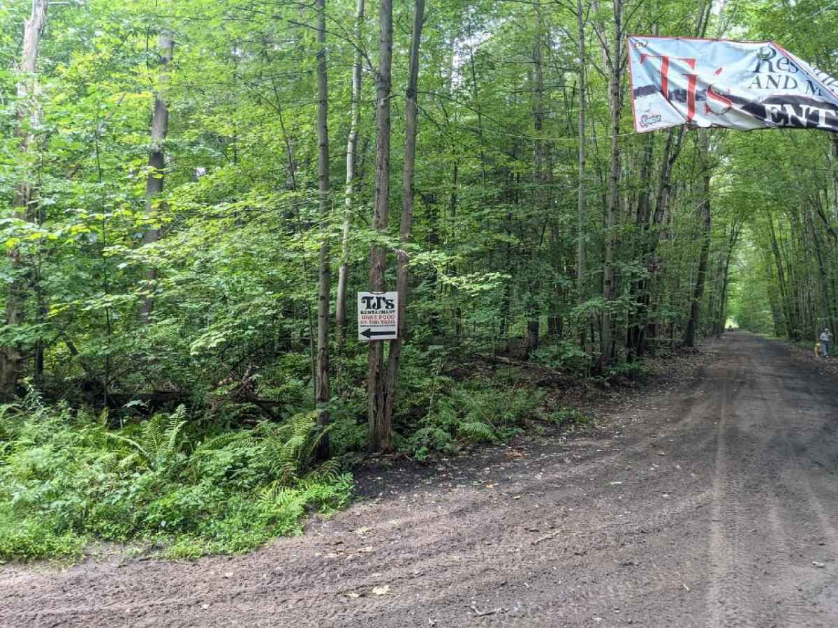 Oswego Recreational Trail photo 3