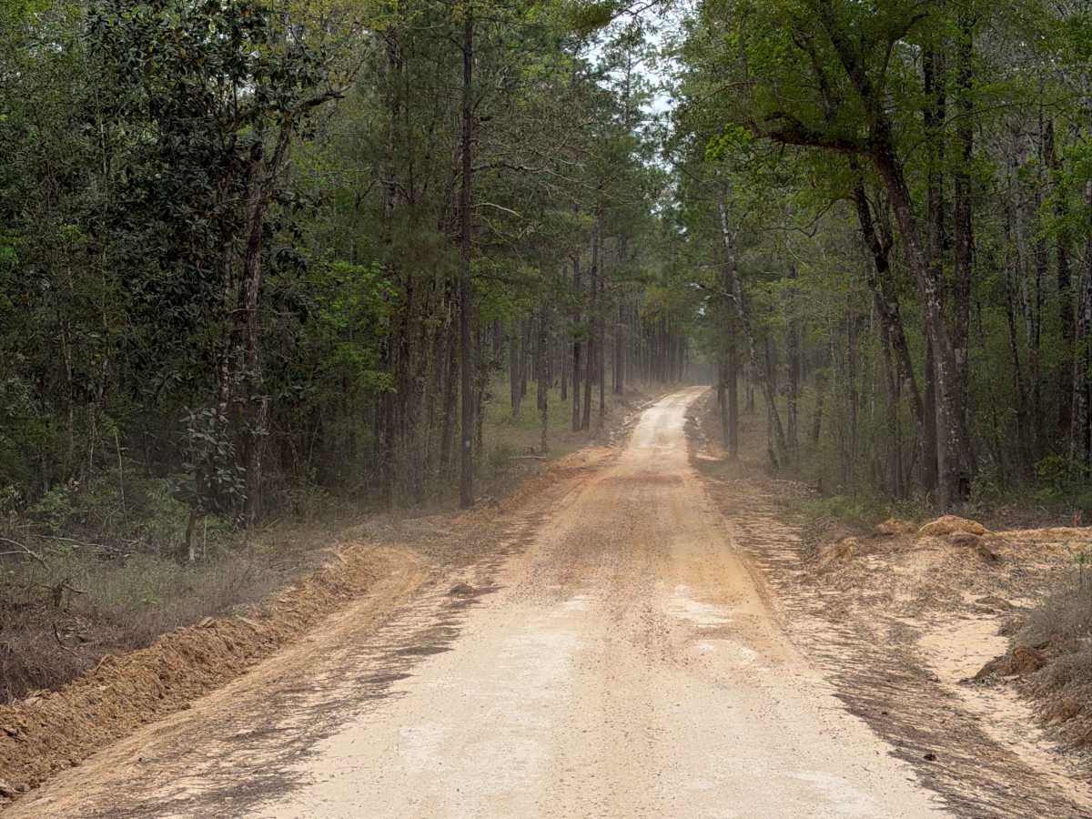 Charlie Foster Road photo 2