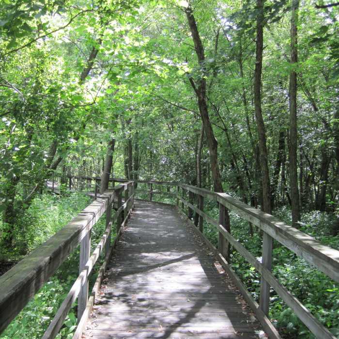 Near Hickory Greenway