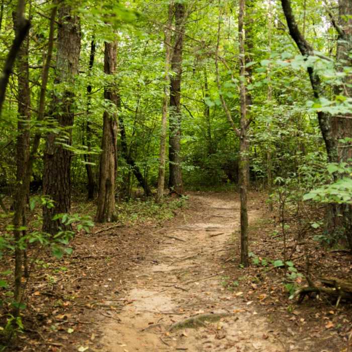 Near Bald Eagle Trail Near Bald Eagle Trail