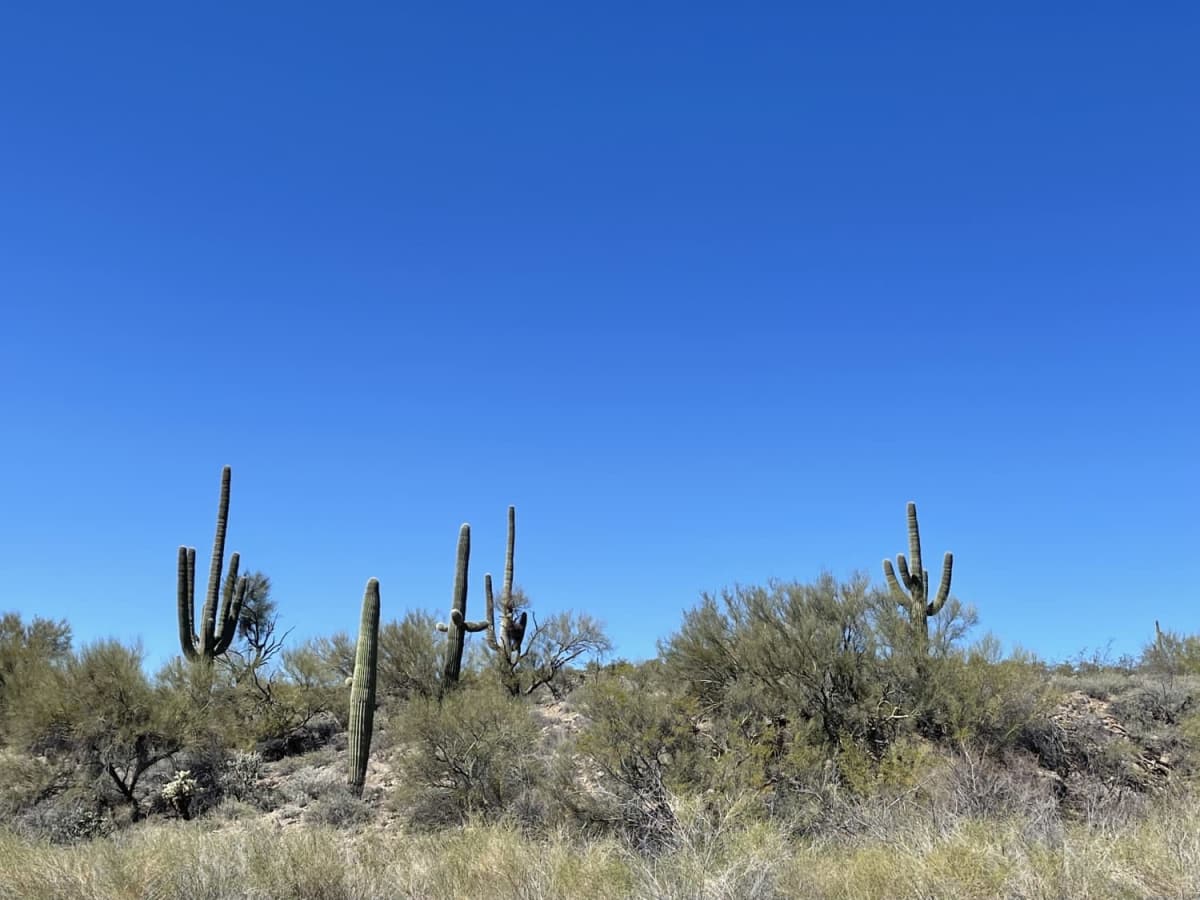 Lower Scenic Loop Road photo 3