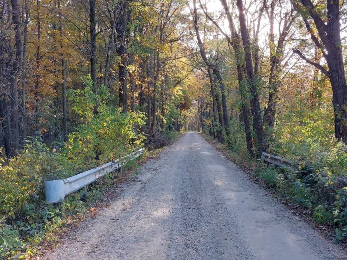 White River Road trail photo