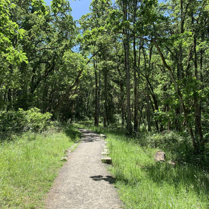 Near Wild Iris Ridge