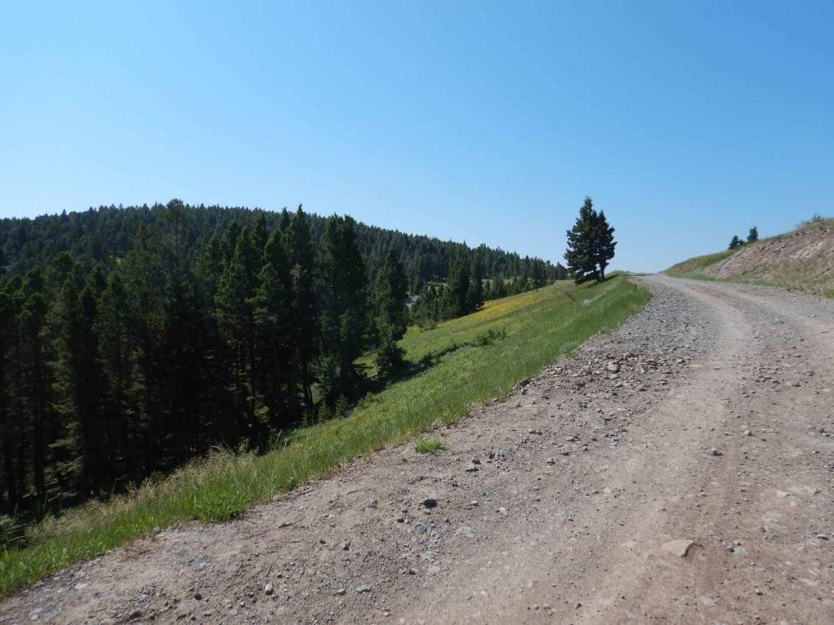 Birdseye-Mullan Road trail photo