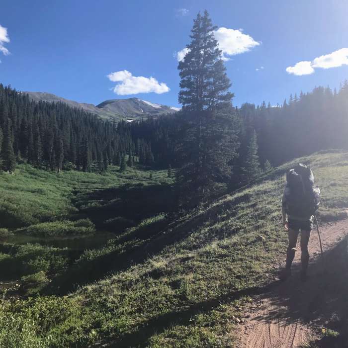 Near Guller Creek Trail