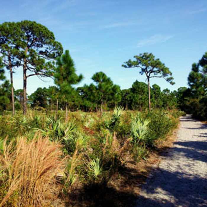 Near Military Perimeter Trail