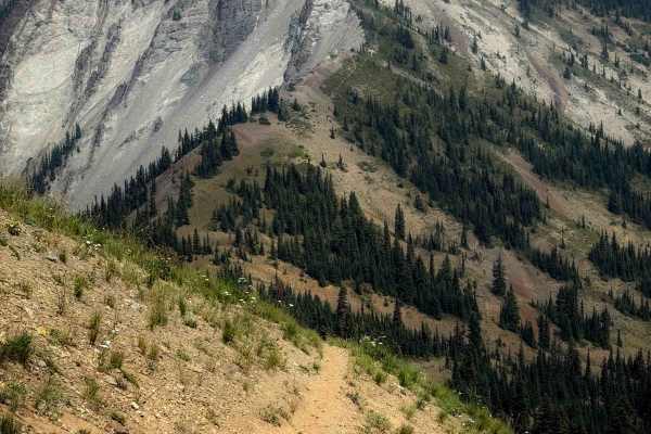 Jolly Creek Trail - 1355