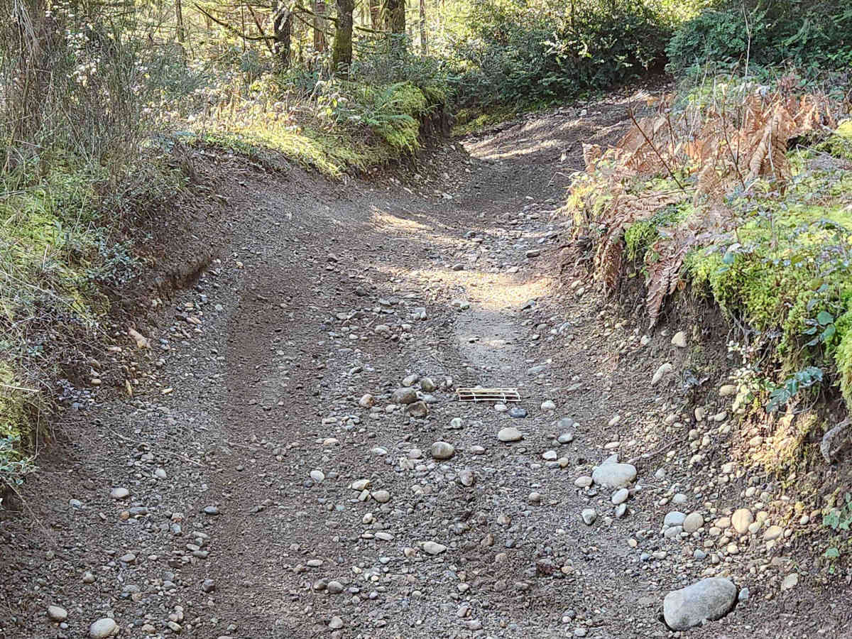 Loop Trail photo 4