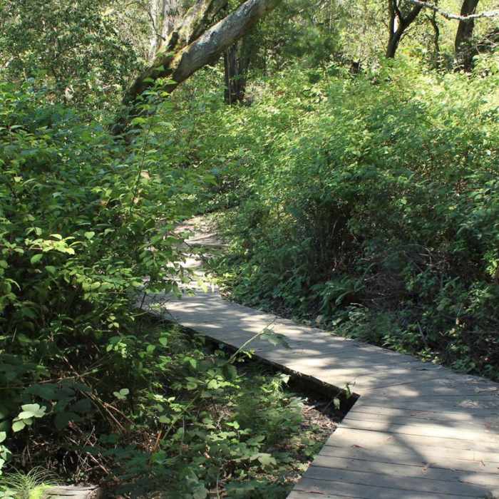 Near Lake Anza Trail