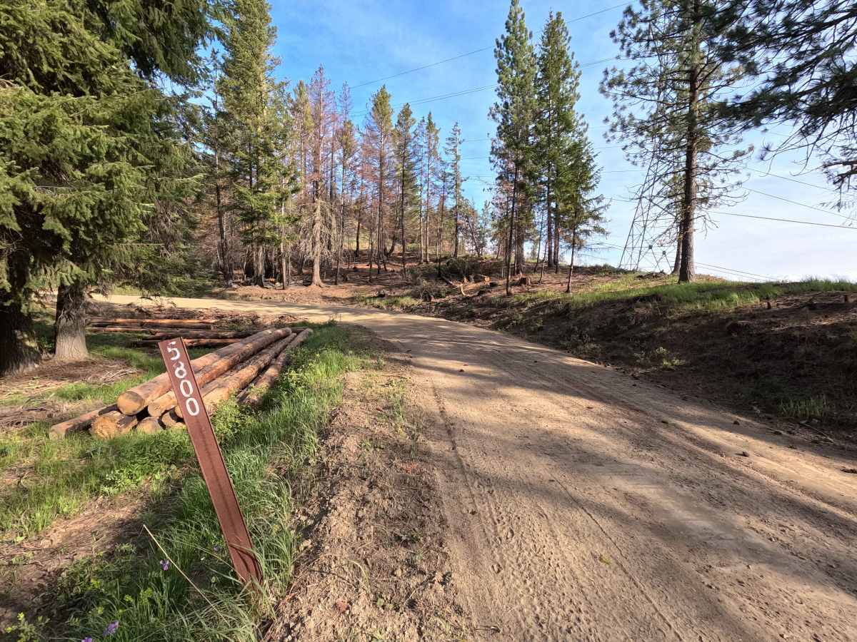 Tillicum Road - FS 58 trail photo