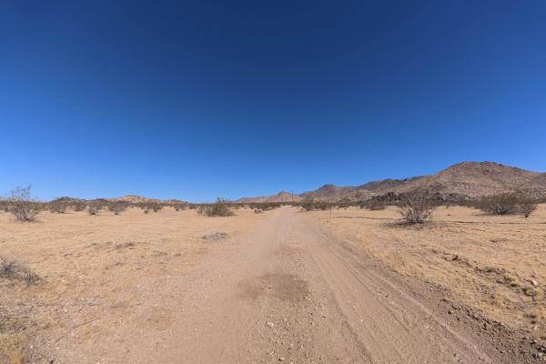Fern Road