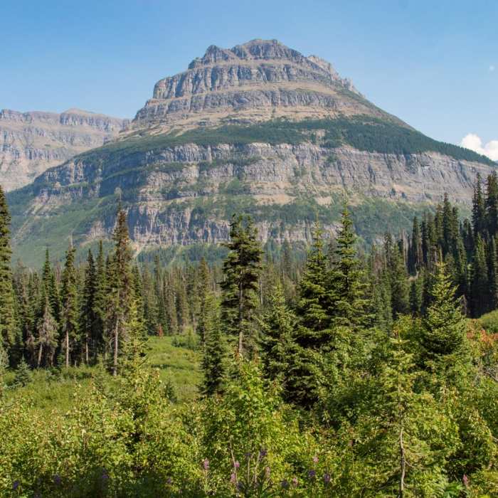 Near Florence Falls from Gunsight Pass Trailhead