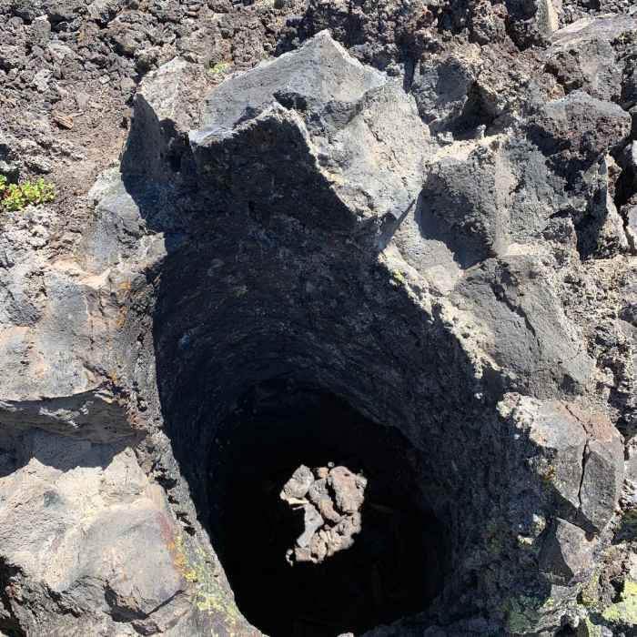 Near Lava Cast Forest Trail