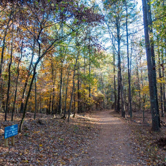 Near Pigeon and Cheatham Hill Loop