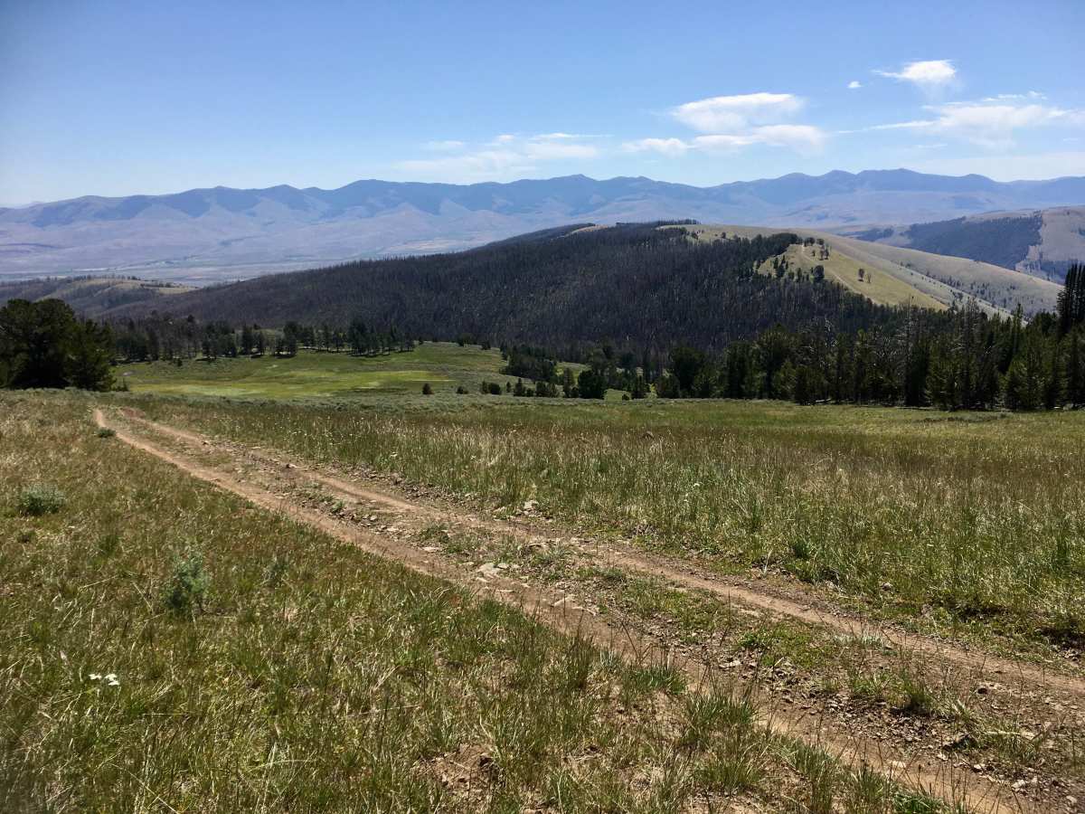Black Canyon Ridge Road photo 6