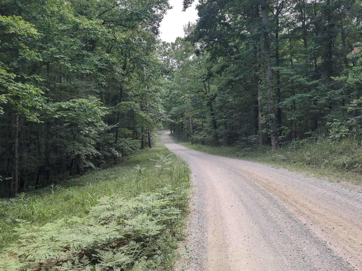 Turkey Foot Road - FS 4 photo 2
