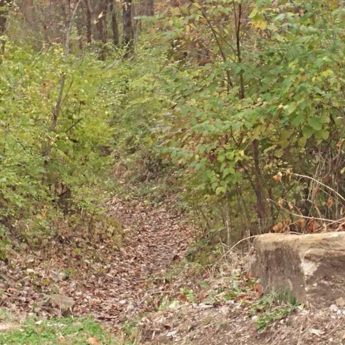 Near Wyandotte County Bridal Trail Loop