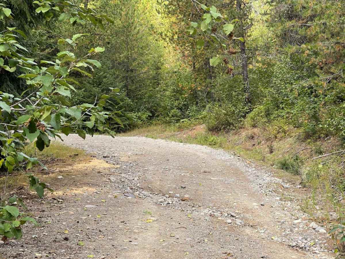 Johnson's Vista Trail photo 4
