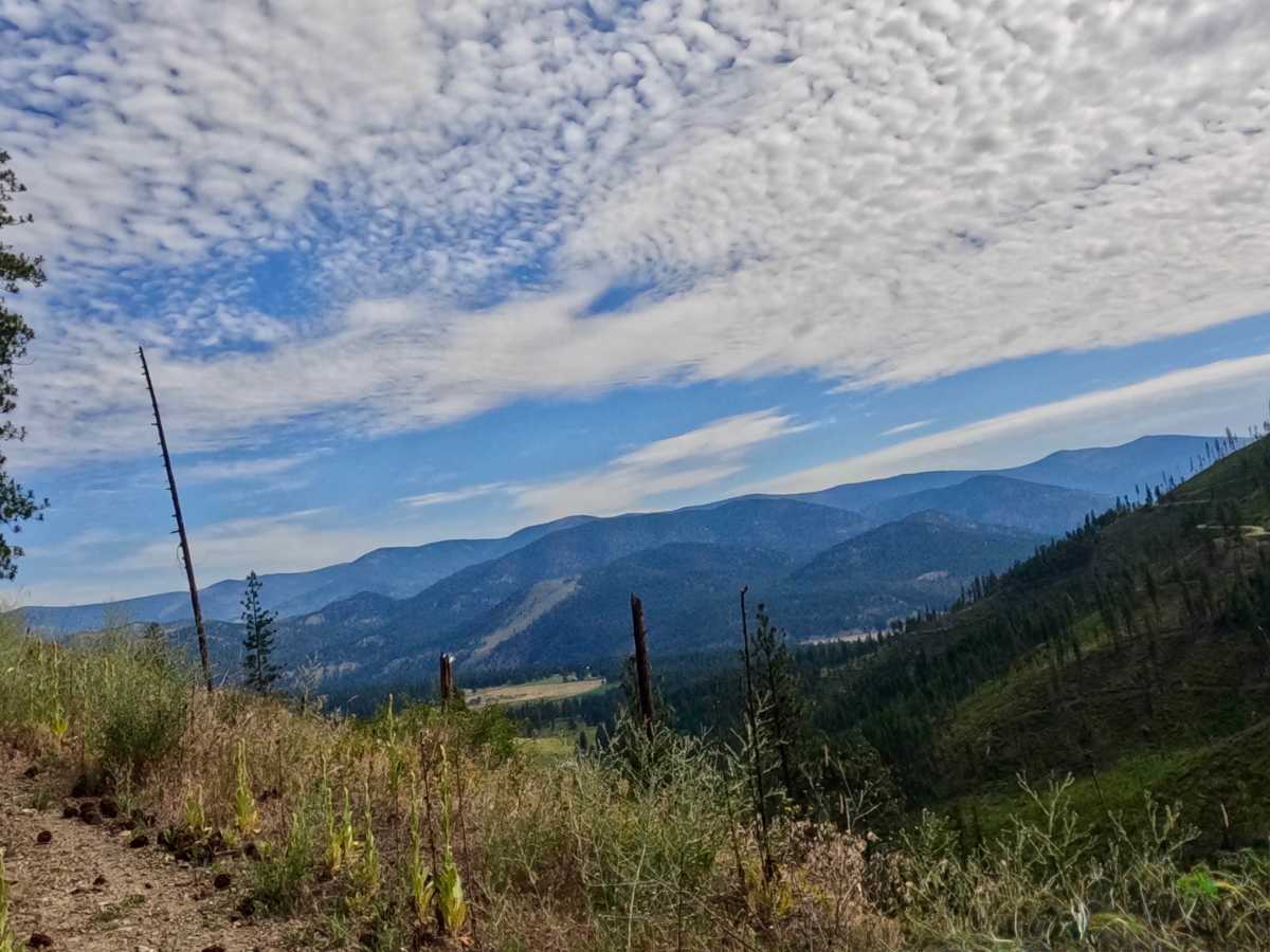 Weaver Gulch Trail photo 2