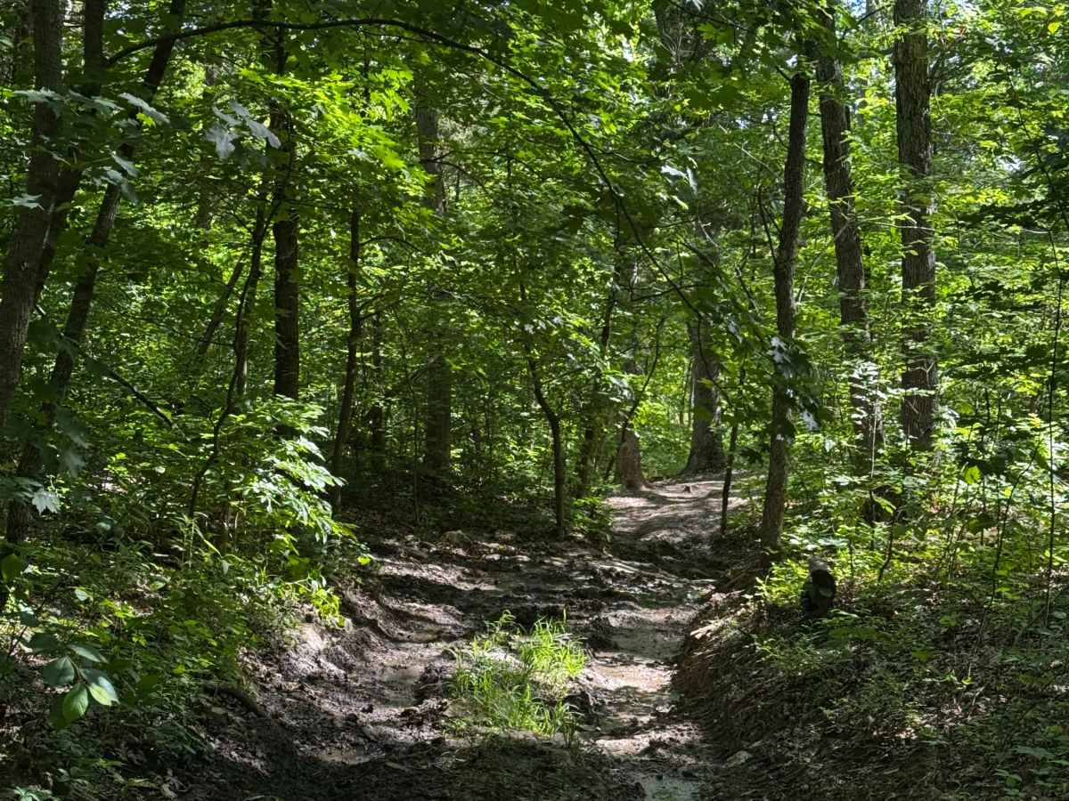 Inner Trail 25 photo 2