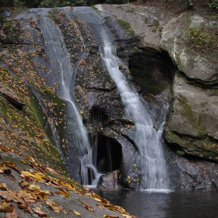 Near Widows Creek/MST Trail
